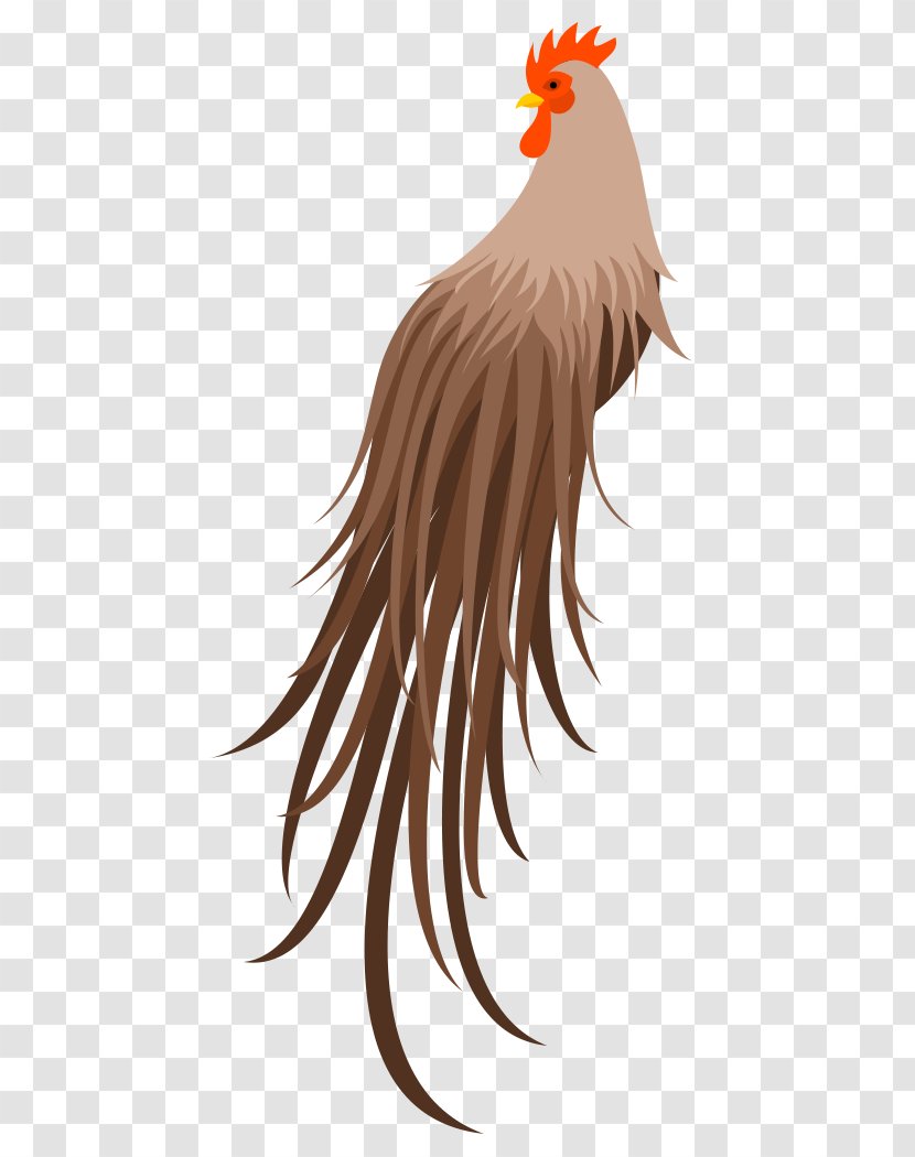 Rooster Chicken Bird Beak - Livestock - Crow Material Transparent PNG