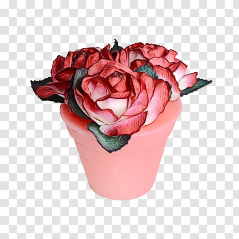 Garden Roses - Paint - Plant Cut Flowers Transparent PNG