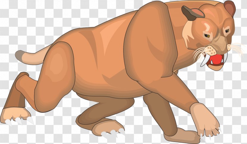 Lion Cat Bear Felidae Clip Art - Tail Transparent PNG