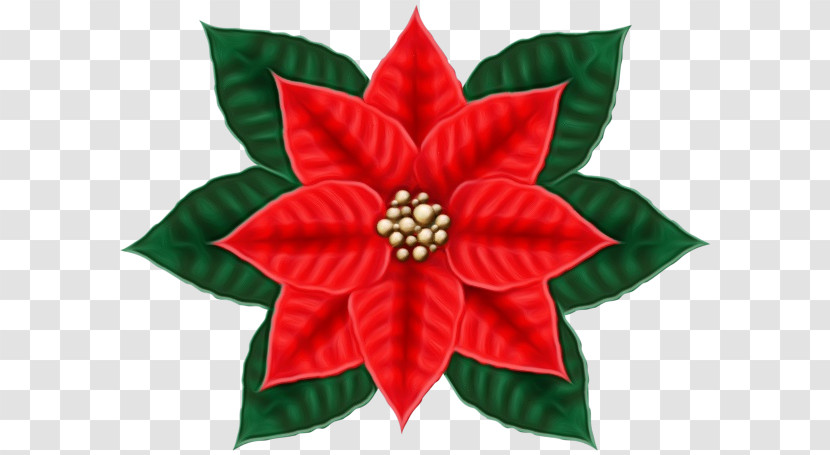 Christmas Day Transparent PNG