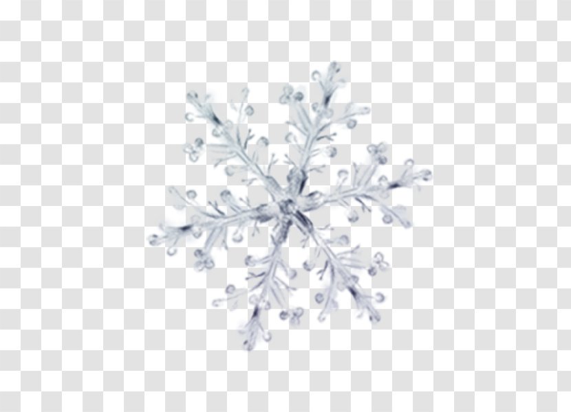 Winter Petal Ice Pattern - Snowflake - Snow Flower Decorative Elements Transparent PNG