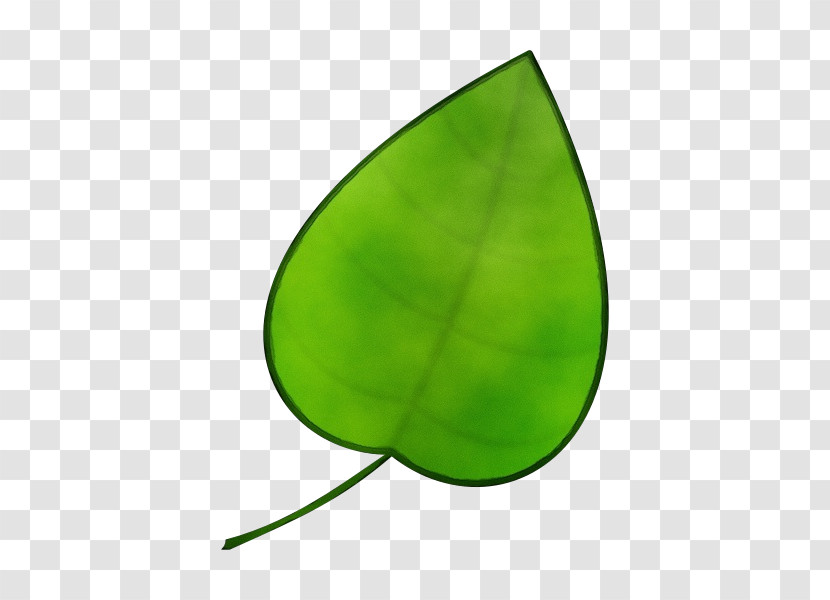 Leaf Green Plant Structure Biology Science Transparent PNG