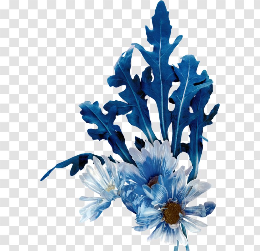 Arugula Cut Flowers Blue Floral Design - Flowering Plant - Flower Transparent PNG