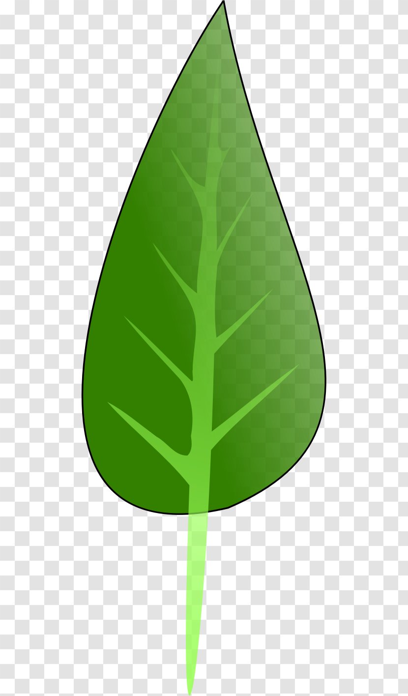 Product Design Leaf Triangle Green - Plant Transparent PNG