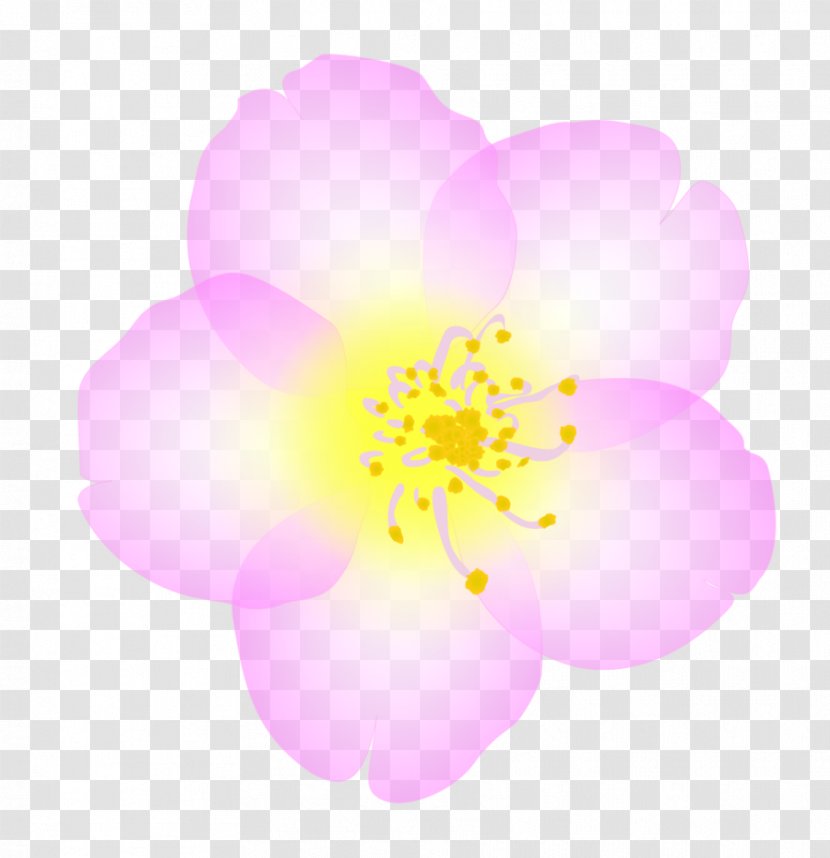 National Cherry Blossom Festival Logo Paper Transparent PNG