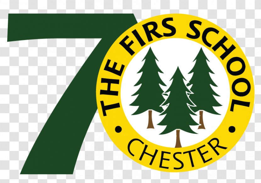 The Firs School Manchester Grammar Withington Girls' Education - Yellow Transparent PNG