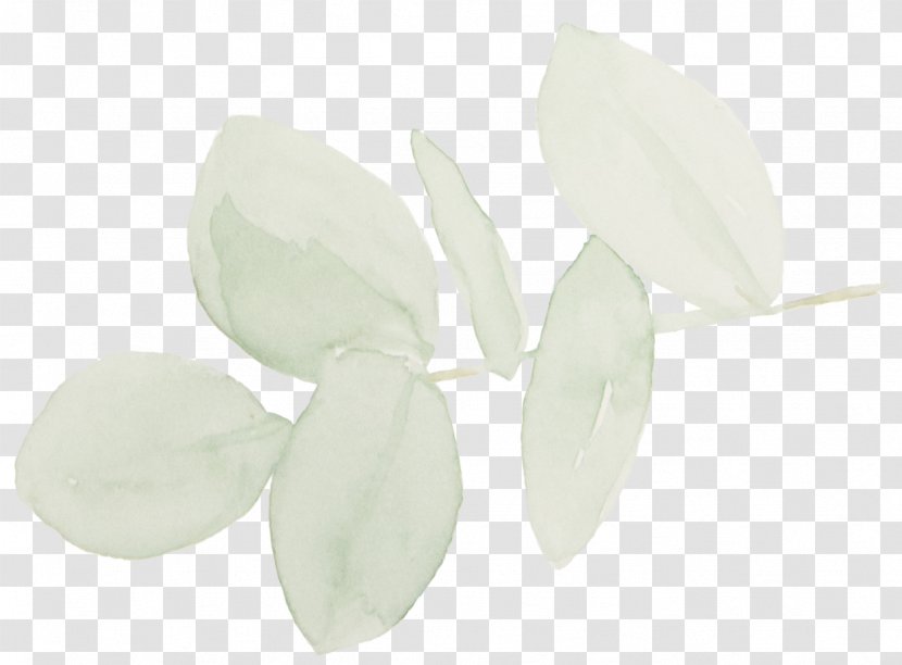 Plastic - Petal - Eucalyptus Wedding Transparent PNG