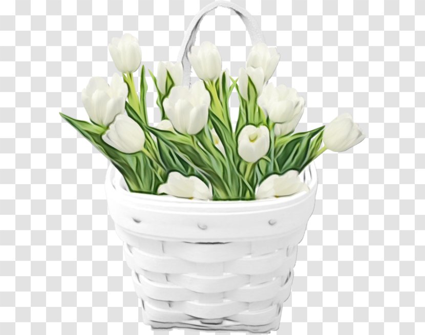 Flower White Flowerpot Cut Flowers Plant - Petal - Bouquet Snowdrop Transparent PNG