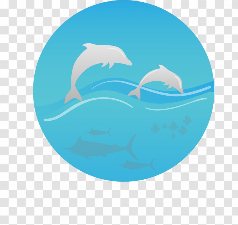 Ocean Sea Marine Mammal - Seawater - Dream Blue Transparent PNG
