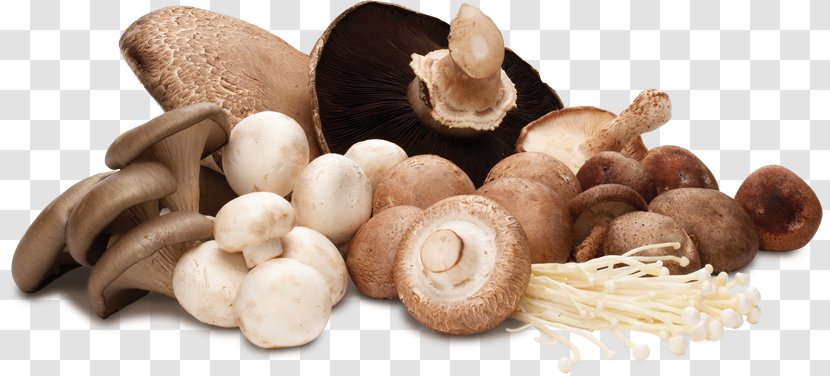 Edible Mushroom Common Shiitake Vegetable Hen-of-the-wood - Fresh And Healthy Transparent PNG