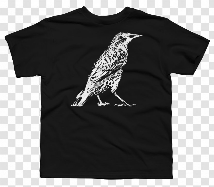 T-shirt Amazon.com Clothing Accessories - Shirt Transparent PNG