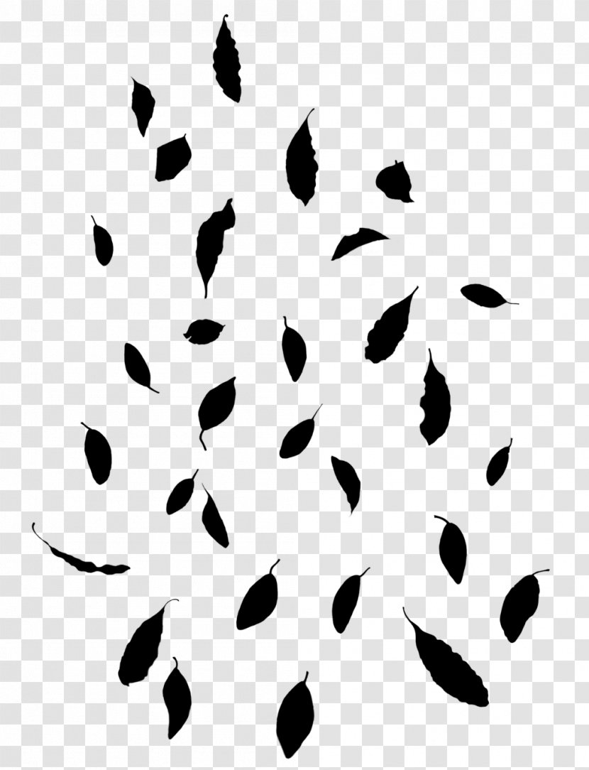 Black & White - Tree - M Clip Art Point Line Feather Transparent PNG