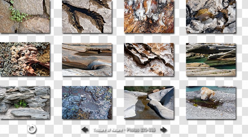 Fauna Scrap Collage Tree Transparent PNG