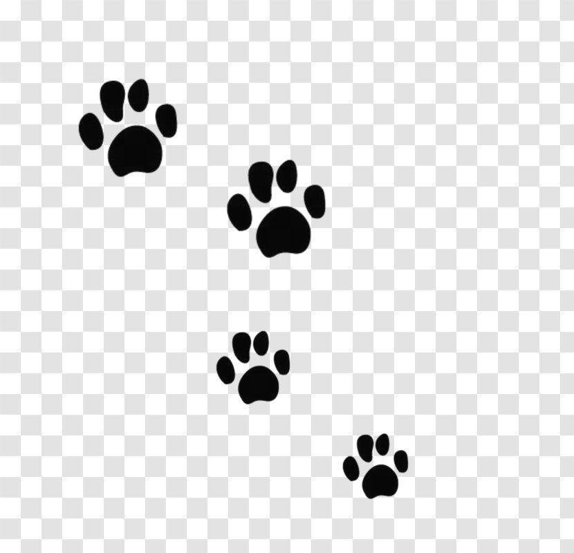 Cat Dog Tiger Bear Felidae - Flower - Black Paw Prints Transparent PNG
