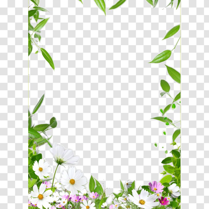 Picture Frame Drawing Ceiling - Green - Flower Border Transparent PNG