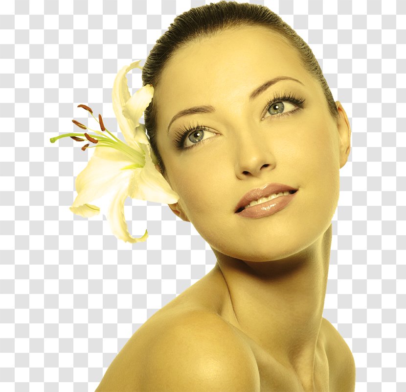 Facial Skin Care Dermis Wrinkle - Brown Hair - Face Transparent PNG