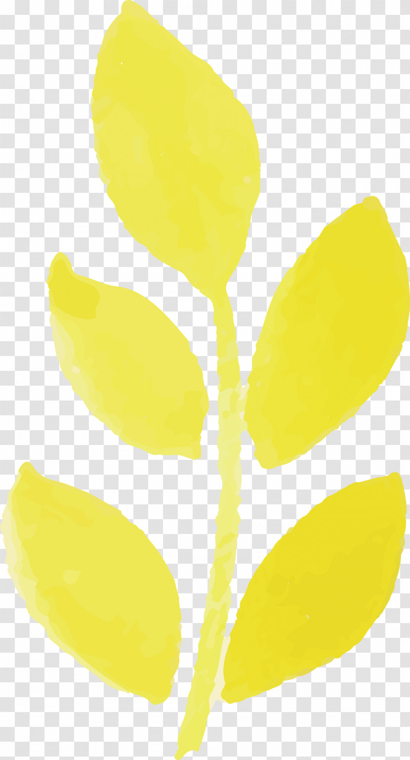 Plant Stem Leaf Yellow Commodity Fruit Transparent PNG