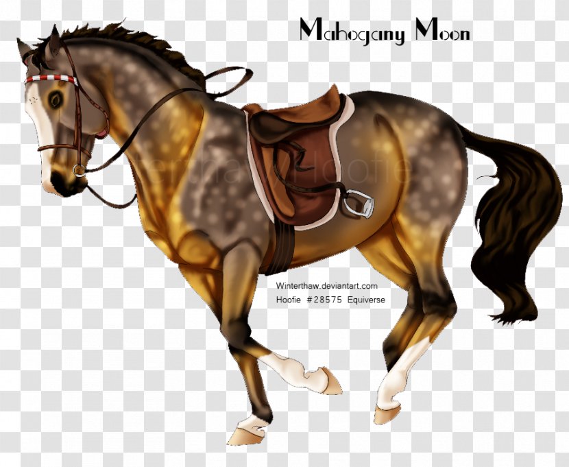 Mane Mustang Rein Stallion Western Riding - Pack Animal - Owl Moon Transparent PNG