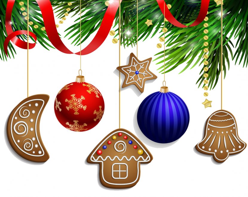 Christmas And New Year Background - Ornament - Conifer Eve Transparent PNG