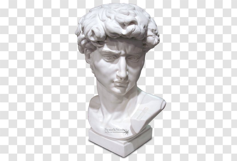 Michelangelo David Sculpture Statue Bust - Chin - Apollon Business Transparent PNG