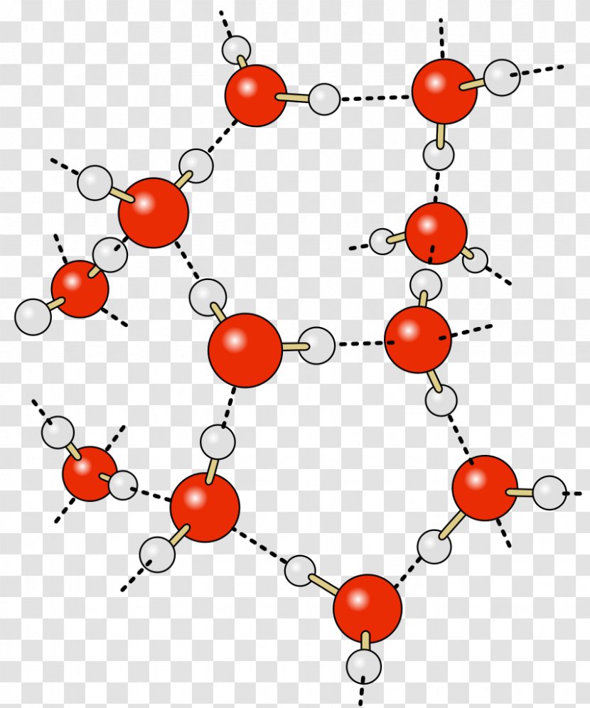 Hydrogen Bond Water Partial Charge Chemical - Revitalized Transparent PNG