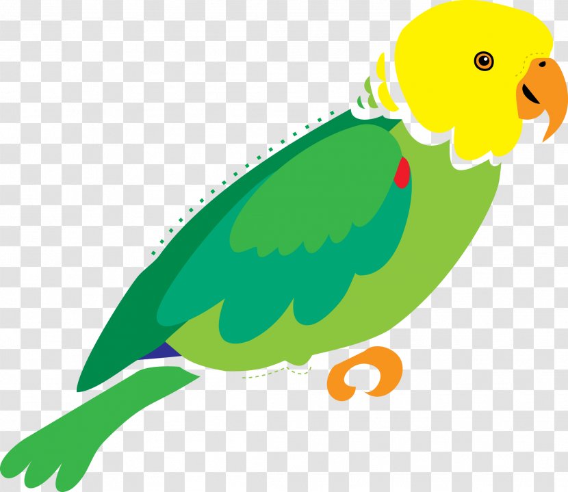 Parrot Illustrator Macaw Art - Perico - White Transparent PNG