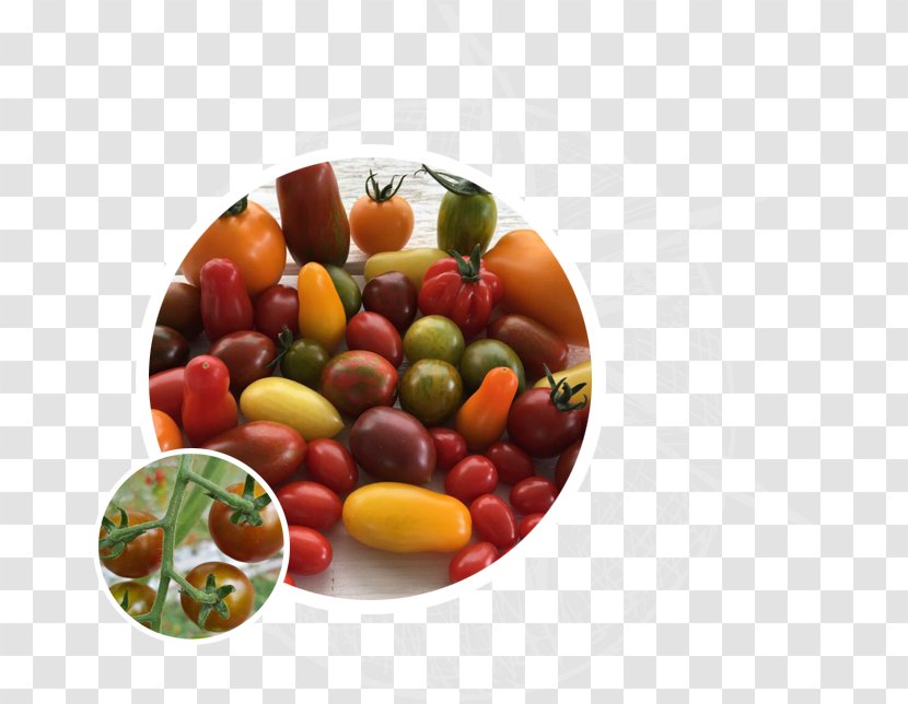 Vegetable Beefsteak Tomato Food Fruit Transparent PNG