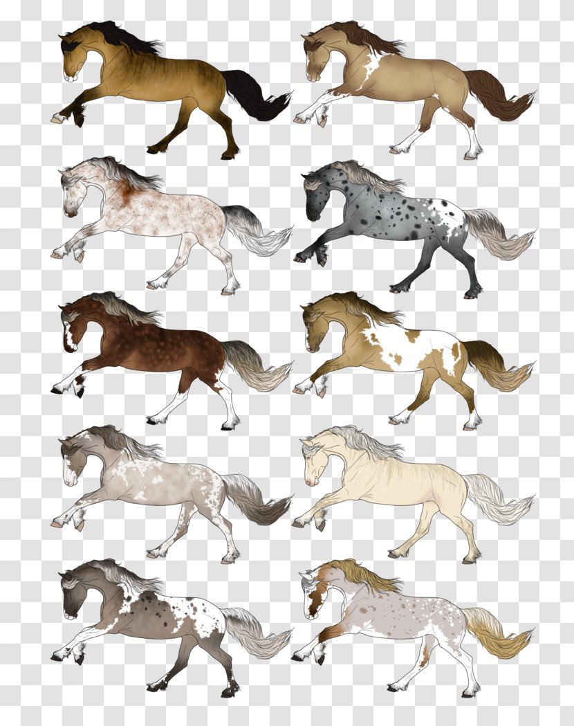 Canidae Mustang Dog Mammal Freikörperkultur - Star Stable Transparent PNG