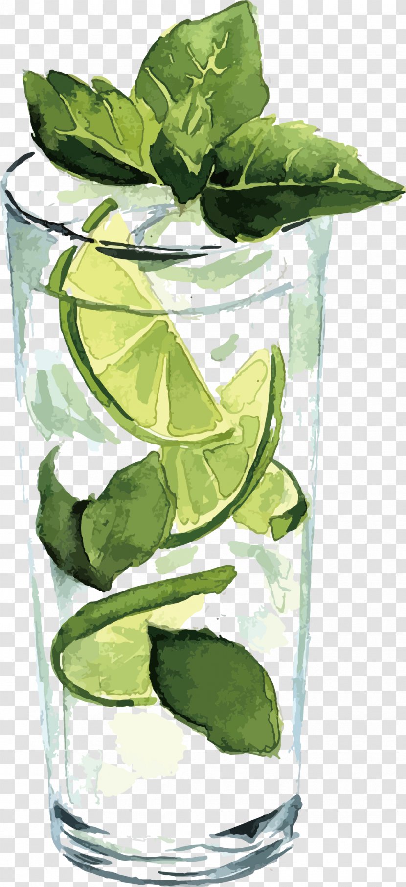 Watercolor Painting Illustration - Illustrator - Vector Lemonade Transparent PNG