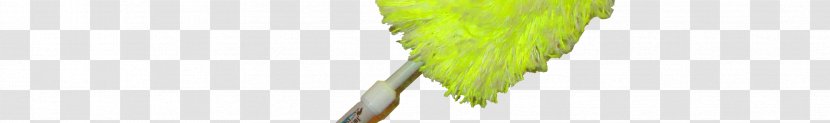 Turkey Creek Essentials Grasses Reuse Plant Stem Commodity - Microfiber - Feather Duster Transparent PNG
