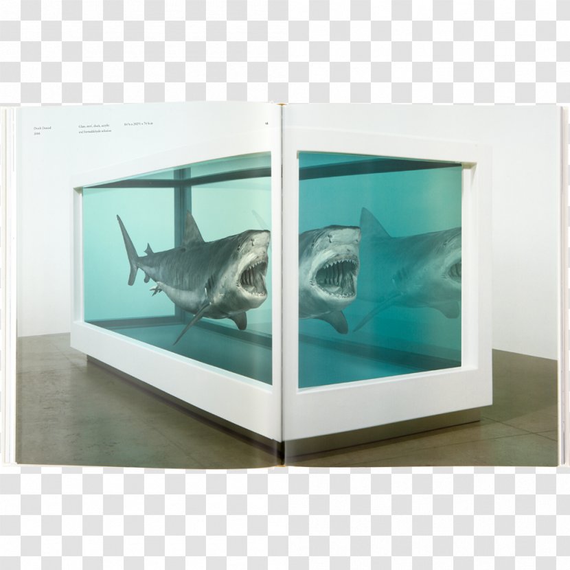 The Physical Impossibility Of Death In Mind Someone Living PinchukArtCentre Contemporary Art Modern - Jumping Shark - Painting Transparent PNG