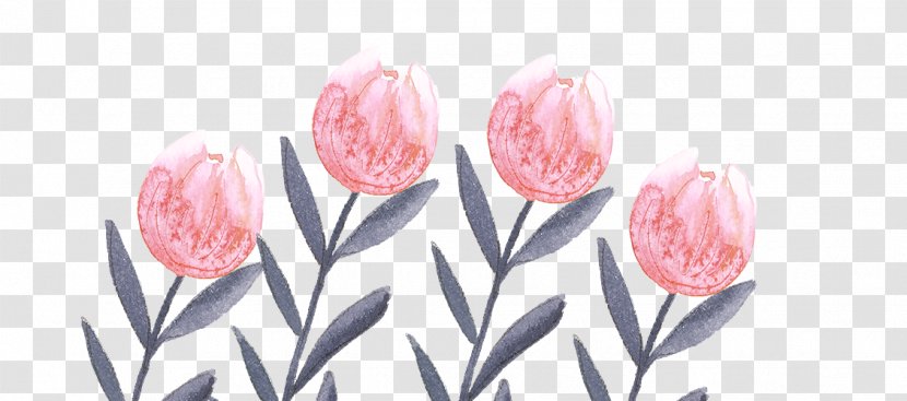Flowering Plant Tulip Cut Flowers Floristry - Floral Design - Watercolor Wedding Transparent PNG