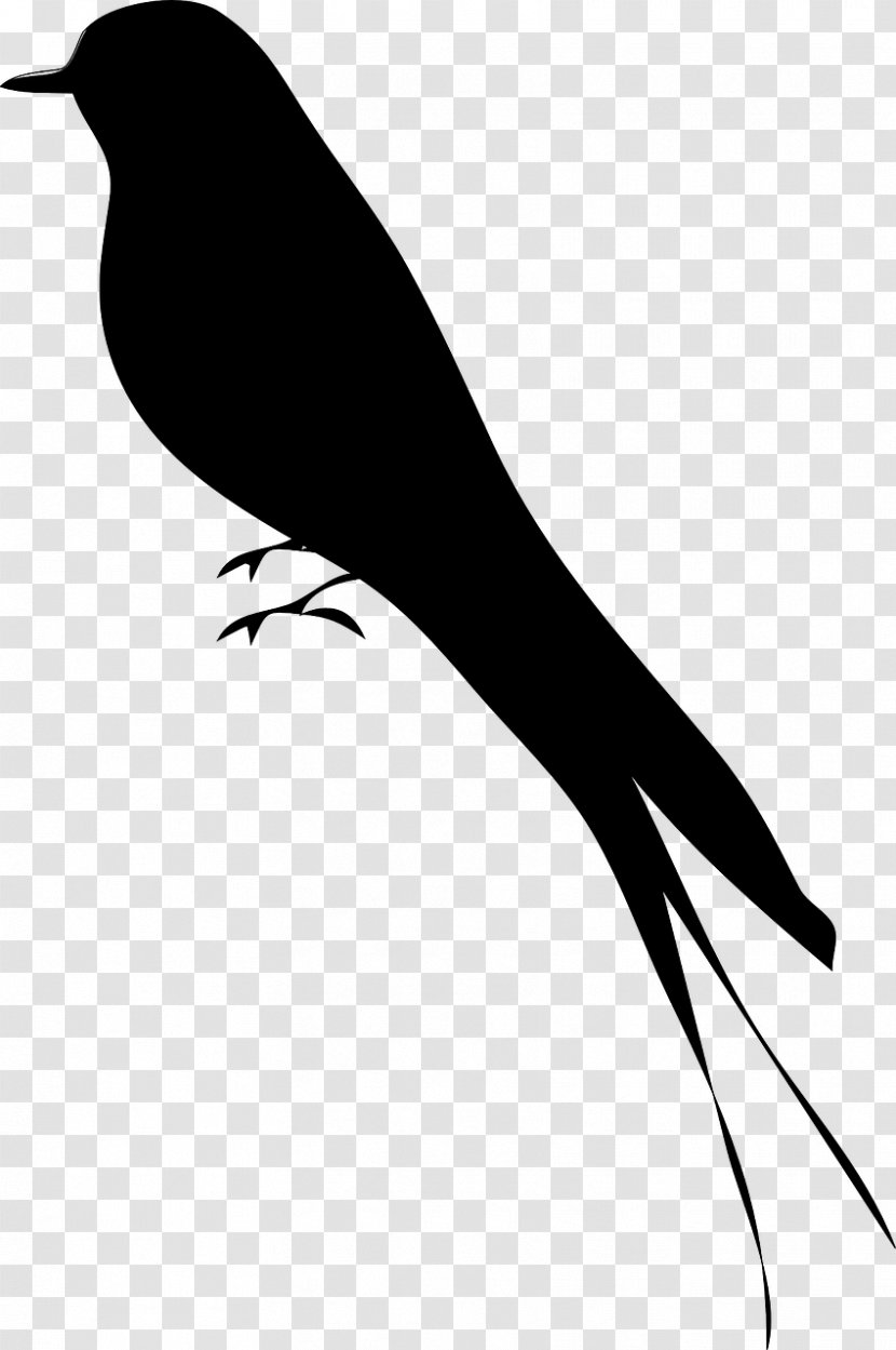 Bird Silhouette Drawing Clip Art - Feather Transparent PNG