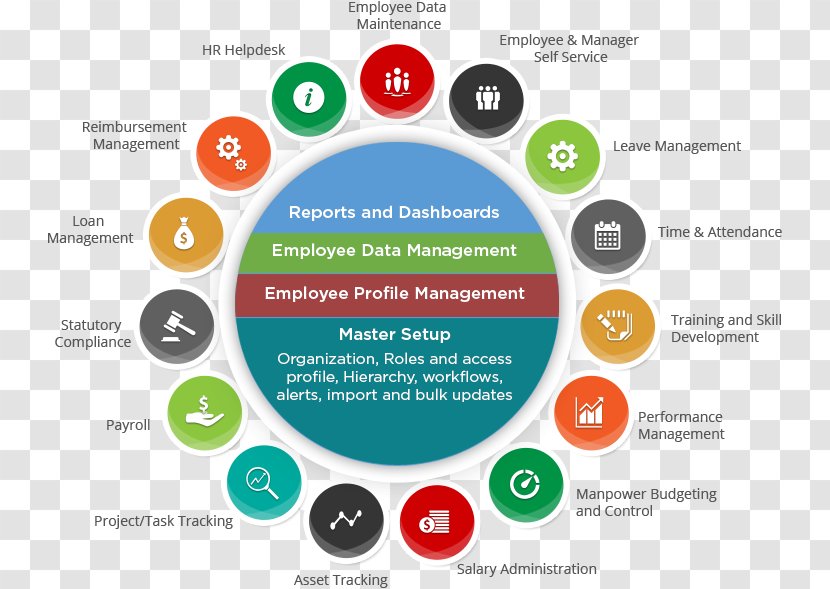 Human Resource Management System Computer Software - Diagram - Business Transparent PNG