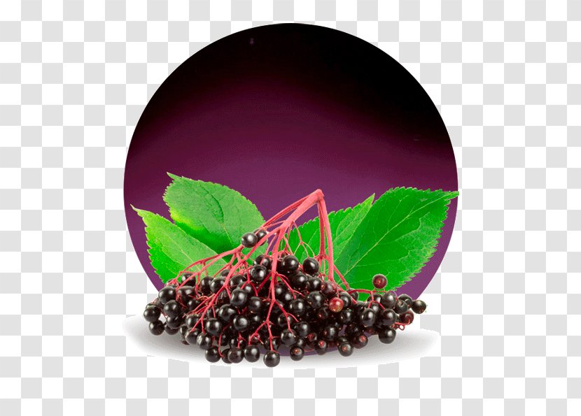 Berries Zante Currant Pink Peppercorn Fruit Concentrate - Berry - Elderberry Juice Transparent PNG
