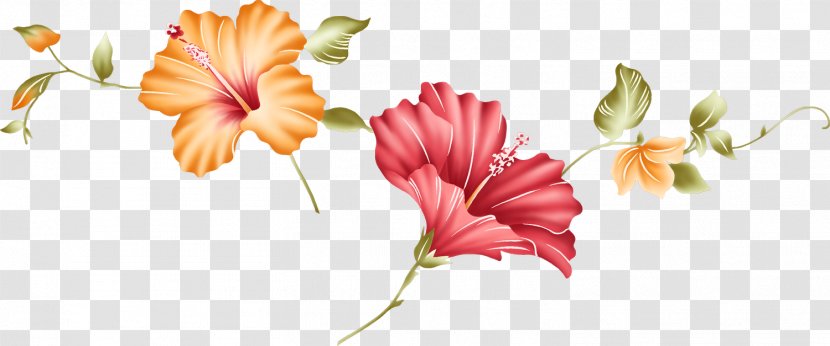 Flower Download Lilium - Hibiscus Transparent PNG