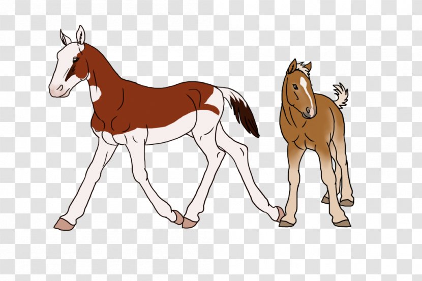 Mule Foal Stallion Mustang Colt - Horse Tack Transparent PNG