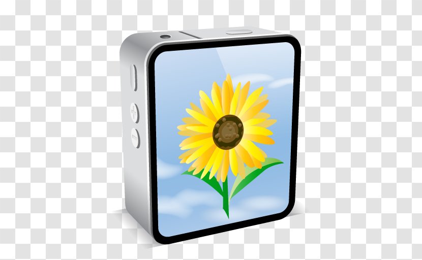 Gadget - Sunflower - Yellow Transparent PNG