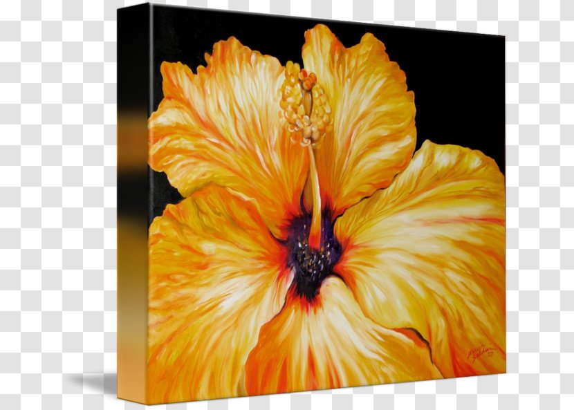 Hibiscus Gallery Wrap Modern Art Canvas - Peach - Flowering Plant Transparent PNG