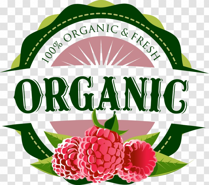 Fruit Floral Design Cut Flowers Brand - Raspberry Logo Transparent PNG