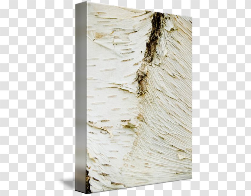 Plywood - Twig - Birch Bark Transparent PNG