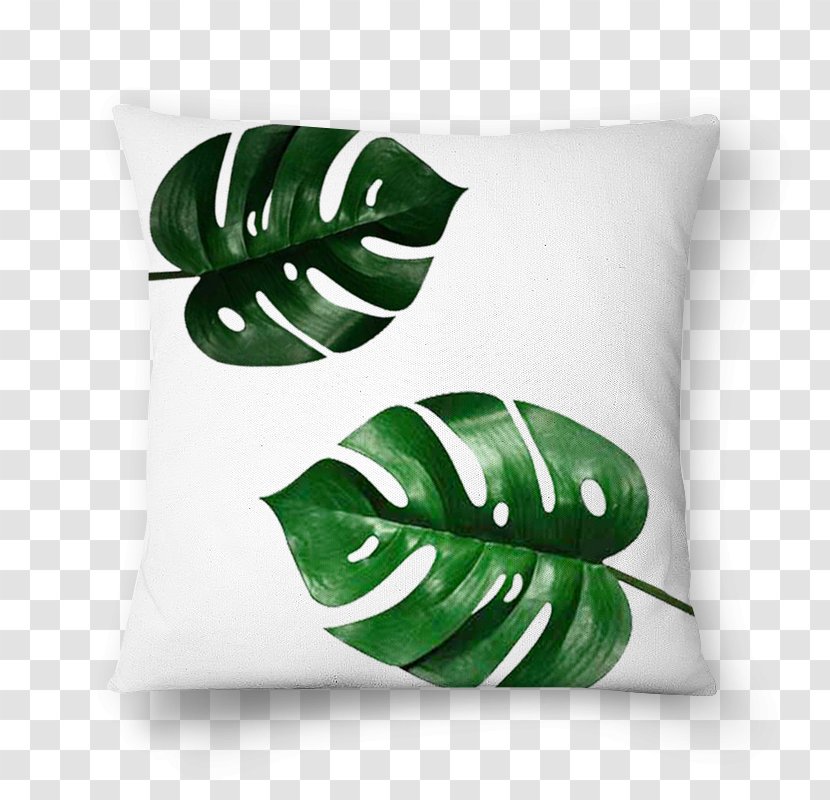 Swiss Cheese Plant Leaflet Tree Philodendron - Stem - Covering Transparent PNG