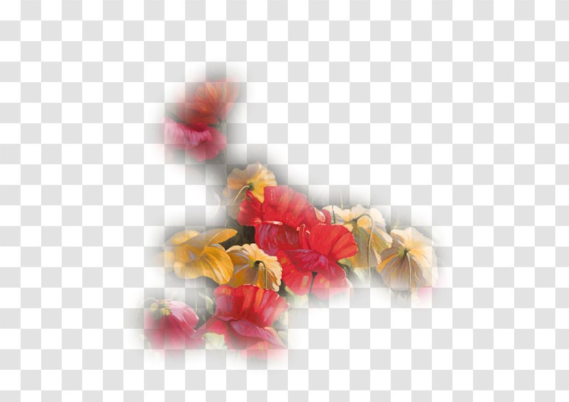 Petal Still Life France Télécom Graphic Design - Cut Flowers - Morte Transparent PNG