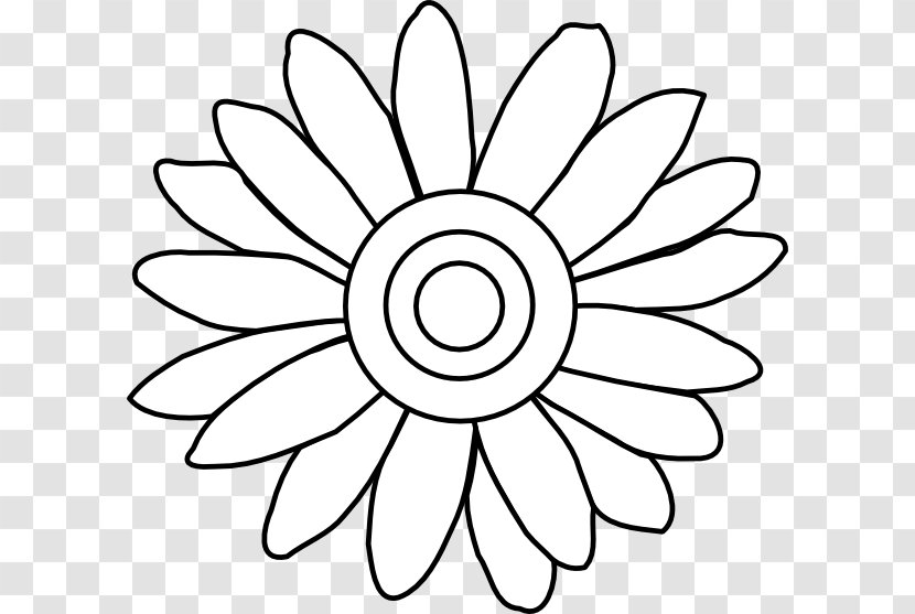 Flower Drawing Common Daisy Clip Art - Plant - Magnolia Vector Transparent PNG
