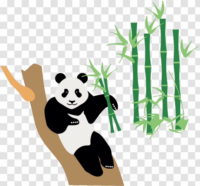 China Japan Icon - Vertebrate - Bamboo Panda Transparent PNG