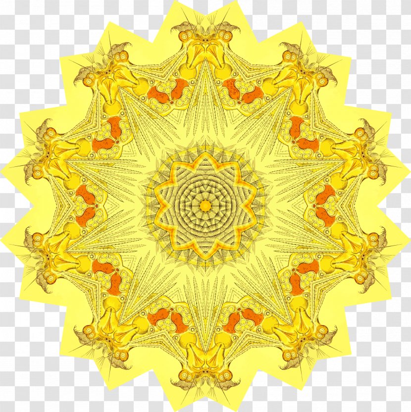 Pattern Symmetry Flower - Yellow Transparent PNG