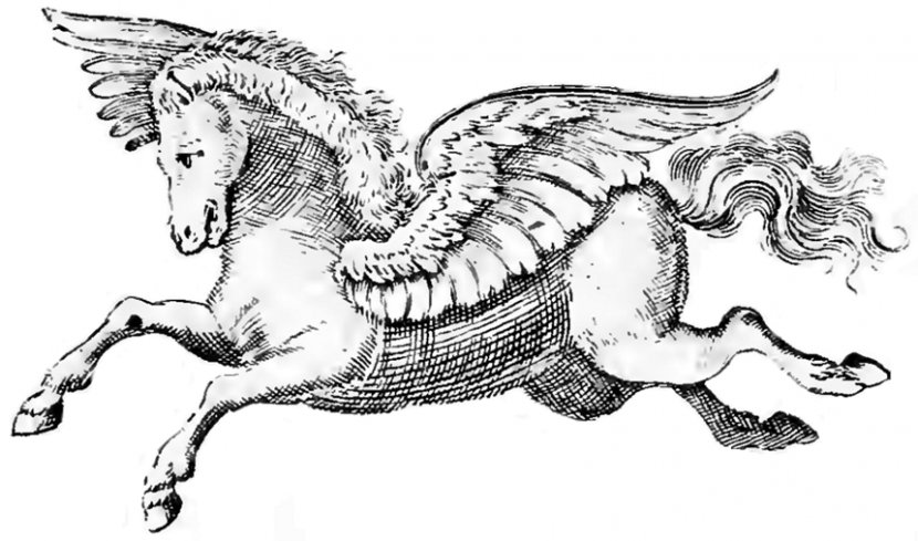The Cabala Of Pegasus Greek Mythology Zeus Horse Transparent PNG