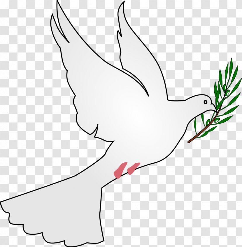 Columbidae Clip Art - Olive Branch - DOVE Transparent PNG