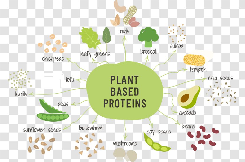 Plant-based Diet Fruit Nutrition Vegetable - Fruits And Veggies Transparent PNG
