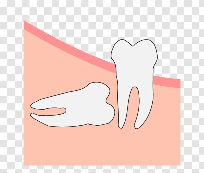 Thumb Hand Model Tooth Clip Art Jaw - Frame - Ear Transparent PNG